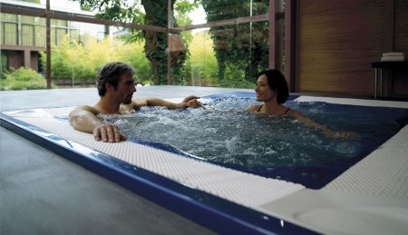 Спа бассейн Jacuzzi Virginia Professional