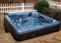 Спа бассейн Vita Spa Monarque Спа бассейн Vita Spa Monarque